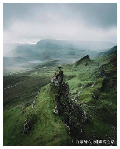 关于小草的名言警句有哪些