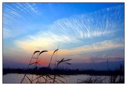 关于爱心和感恩的格言