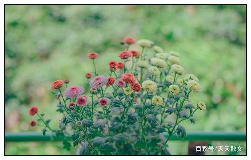 谢谢你的唯美句子经典语录