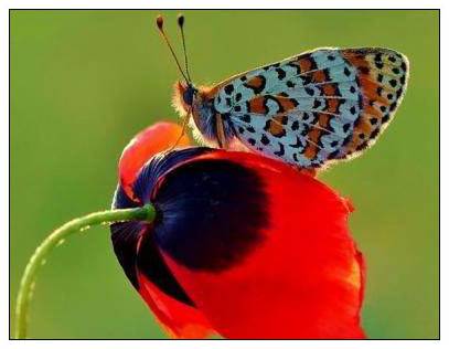 关于坚强不屈的格言警句