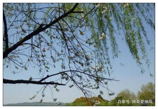 关于中华传统美德的格言警句