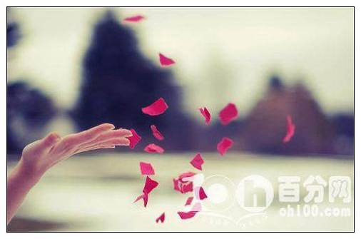 母亲的短信美文