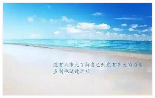 销售中的经典语录