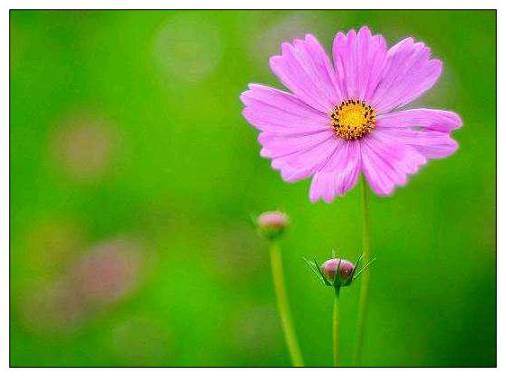 2019年的收获语录