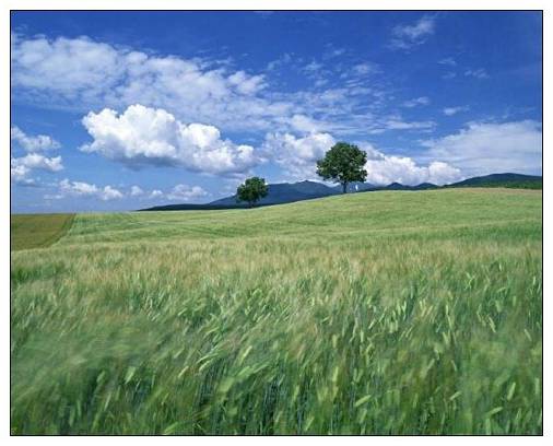 有关大学恋爱的语录