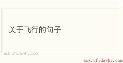 关于飞行的句子