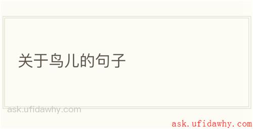 关于鸟儿的句子