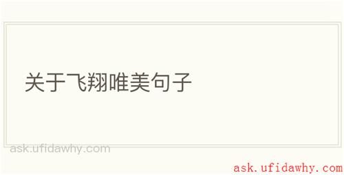 关于飞翔唯美句子