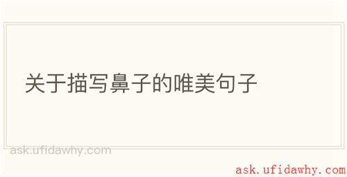 关于描写鼻子的唯美句子