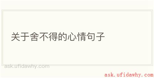 关于舍不得的心情句子
