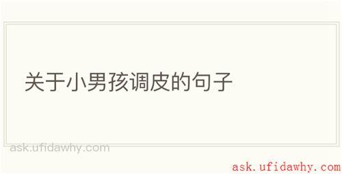 关于小男孩调皮的句子