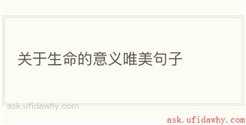 关于生命的意义唯美句子