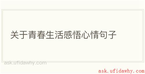 关于青春生活感悟心情句子