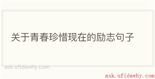 关于青春珍惜现在的励志句子