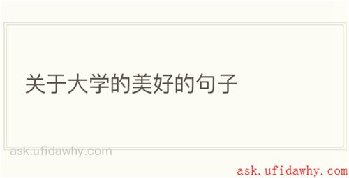 关于大学的美好的句子