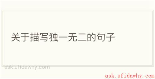 关于描写独一无二的句子