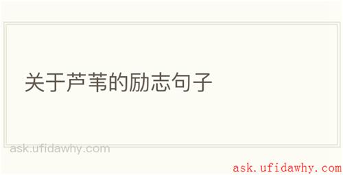 关于芦苇的励志句子