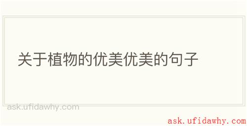 关于植物的优美优美的句子