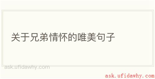 关于兄弟情怀的唯美句子