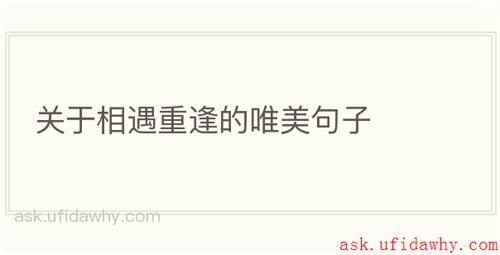 关于相遇重逢的唯美句子