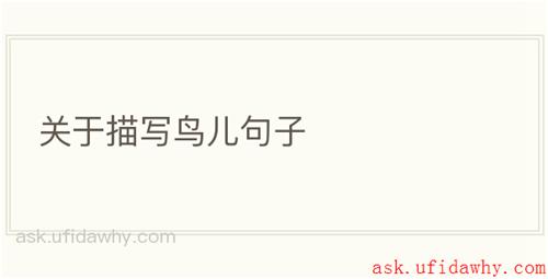 关于描写鸟儿句子