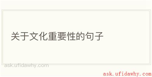 关于文化重要性的句子