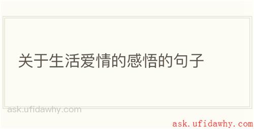 关于生活爱情的感悟的句子