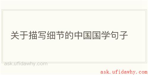 关于描写细节的中国国学句子