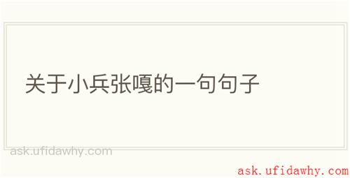 关于小兵张嘎的一句句子