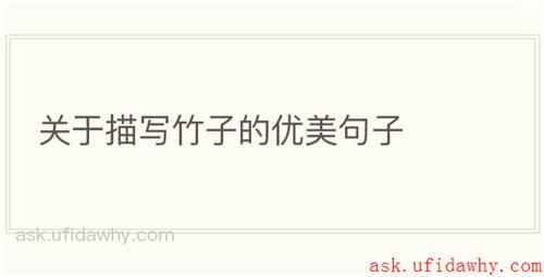 关于描写竹子的优美句子