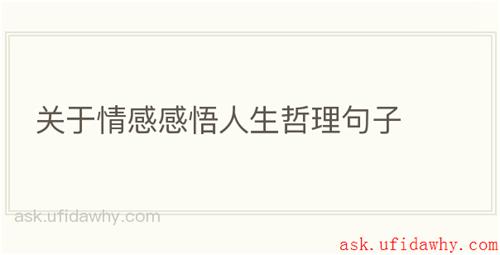关于情感感悟人生哲理句子