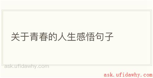 关于青春的人生感悟句子