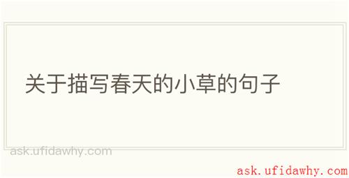 关于描写春天的小草的句子