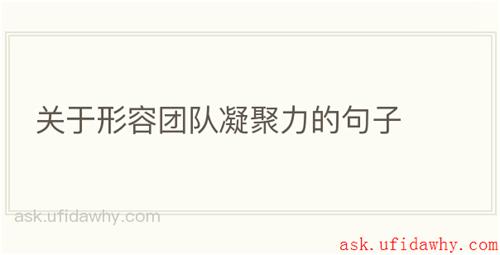 关于形容团队凝聚力的句子