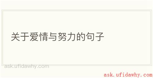 关于爱情与努力的句子