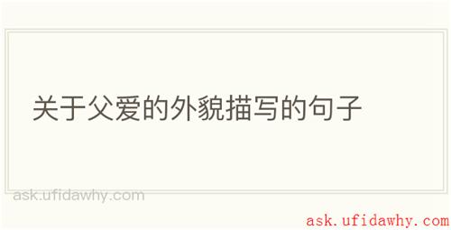 关于父爱的外貌描写的句子