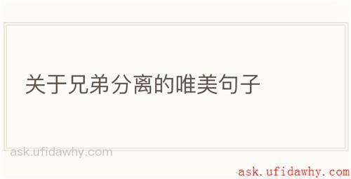 关于兄弟分离的唯美句子