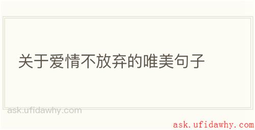 关于爱情不放弃的唯美句子