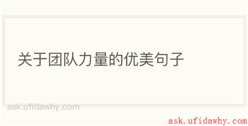 关于团队力量的优美句子
