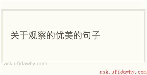 关于观察的优美的句子