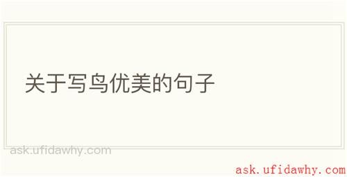 关于写鸟优美的句子