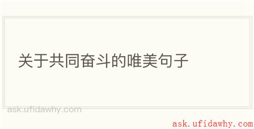 关于共同奋斗的唯美句子