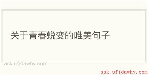 关于青春蜕变的唯美句子