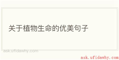 关于植物生命的优美句子