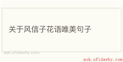 关于风信子花语唯美句子