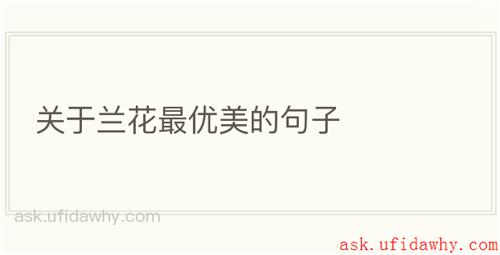 关于兰花最优美的句子