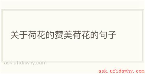 关于荷花的赞美荷花的句子