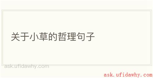 关于小草的哲理句子