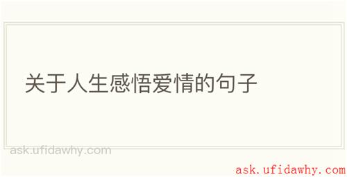 关于人生感悟爱情的句子