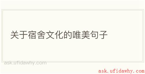 关于宿舍文化的唯美句子